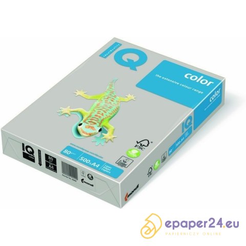 PAPIER MAESTRO COLOR A4/80g TRENDY SZARY (500) PAPIER MAESTRO COLOR A4/80g TRENDY SZARY (500)