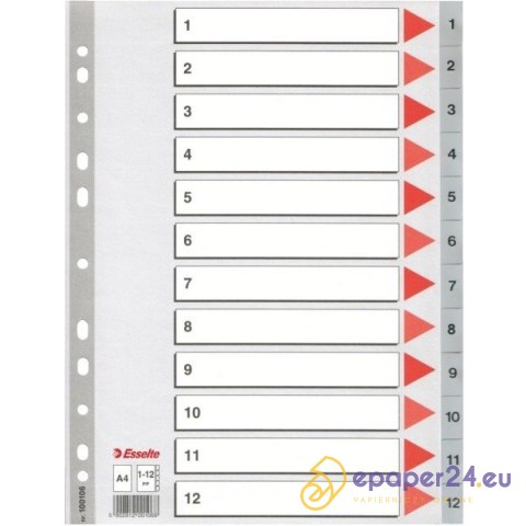 PRZEKŁADKI PP ESSELTE A4 1-12 PRZEKŁADKI PP ESSELTE A4 1-12