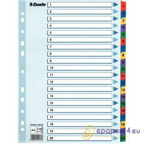 PRZEKŁADKI MYLAR ESSELTE A4 1-20 PRZEKŁADKI MYLAR ESSELTE A4 1-20
