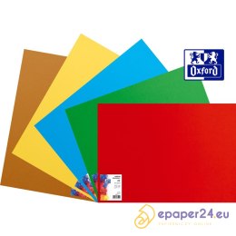 Karton Oxford A2 160g groszkowy